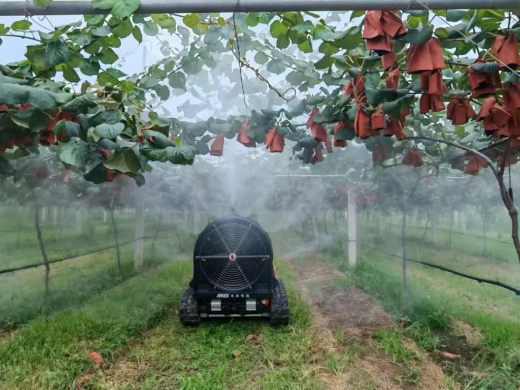 1762245315479288.jpg 515536571875837622.jpg